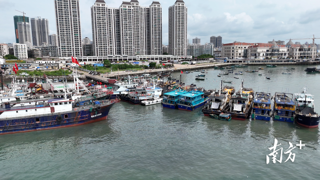 明天开渔, 通过进行全, 客户端